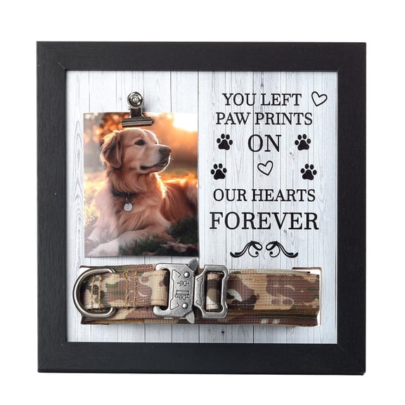 Pet Memorial Frame with Collar Holder Dog and Cat Loss Remembrance Gift You Were My Favorite Hello and Hardest Goodbye Sympathy Keepsake Frame for Pet Lovers