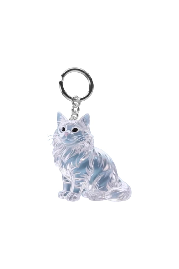 Pet Memorial Gifts, Pet Hair Keepsake,Pet Hair Memorial Keepsake Box Keychain, Pet Fur Remembrance Locket, for Dogs Cats Pet Lover Memorial Jewelry Gift(Multicolor C)