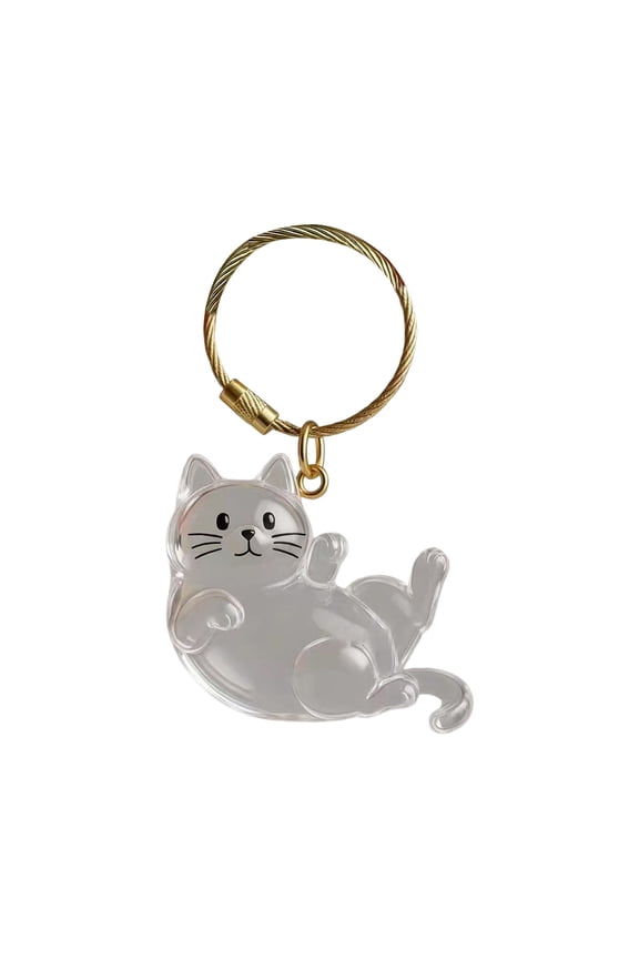 Pet Memorial Gifts, Pet Hair Keepsake,Pet Hair Memorial Keepsake Box Keychain, Pet Fur Remembrance Locket, for Dogs Cats Pet Lover Memorial Jewelry Gift(MulticolorE)