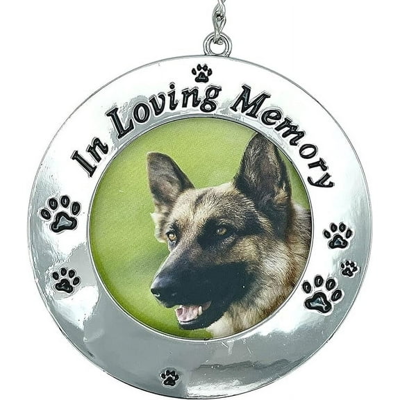 Pet Memorial Photo Frame Ornament in Loving Memory Pets Remembrance