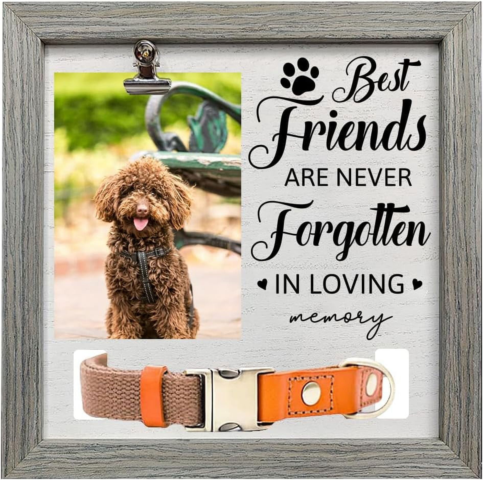 Pet Memorial Picture Frame 9x9 inch Best Friends are Never