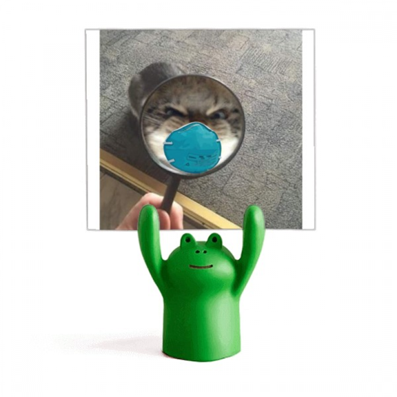 Pet Mirror Angry Head Cat Happy Memo Holder Cartoon Animal Frog Stand Decoration