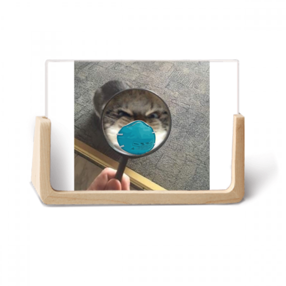 Pet Mirror Angry Head Cat Happy Photo Wooden Photo Frame Tabletop Display