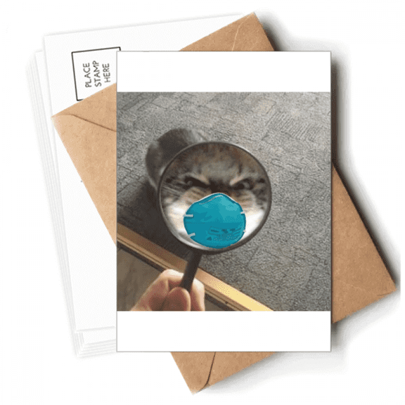 Pet Mirror Angry Head Cat Happy Postcards Envelopes Blank Note Cards Mailing