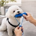 Pet Molar and Teeth Cleaning Toy with Pull Rope, Durable Rubber Dog ...