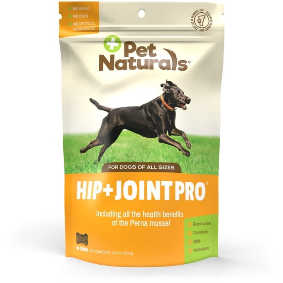 Pet Naturals Hip + Joint Pro Antioxidant Chewables for Dogs, Duck Flavor, 60 Count Pouch