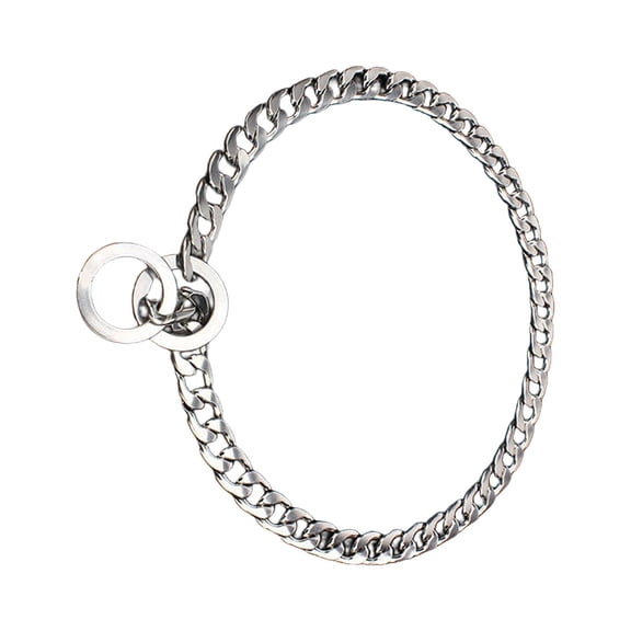 Pet Necklace Jewelry, 304 Stainless Steel ,Choke Collar , , Small and Medium dog Puppy Neck for Teddy for French , 2.5x500mm