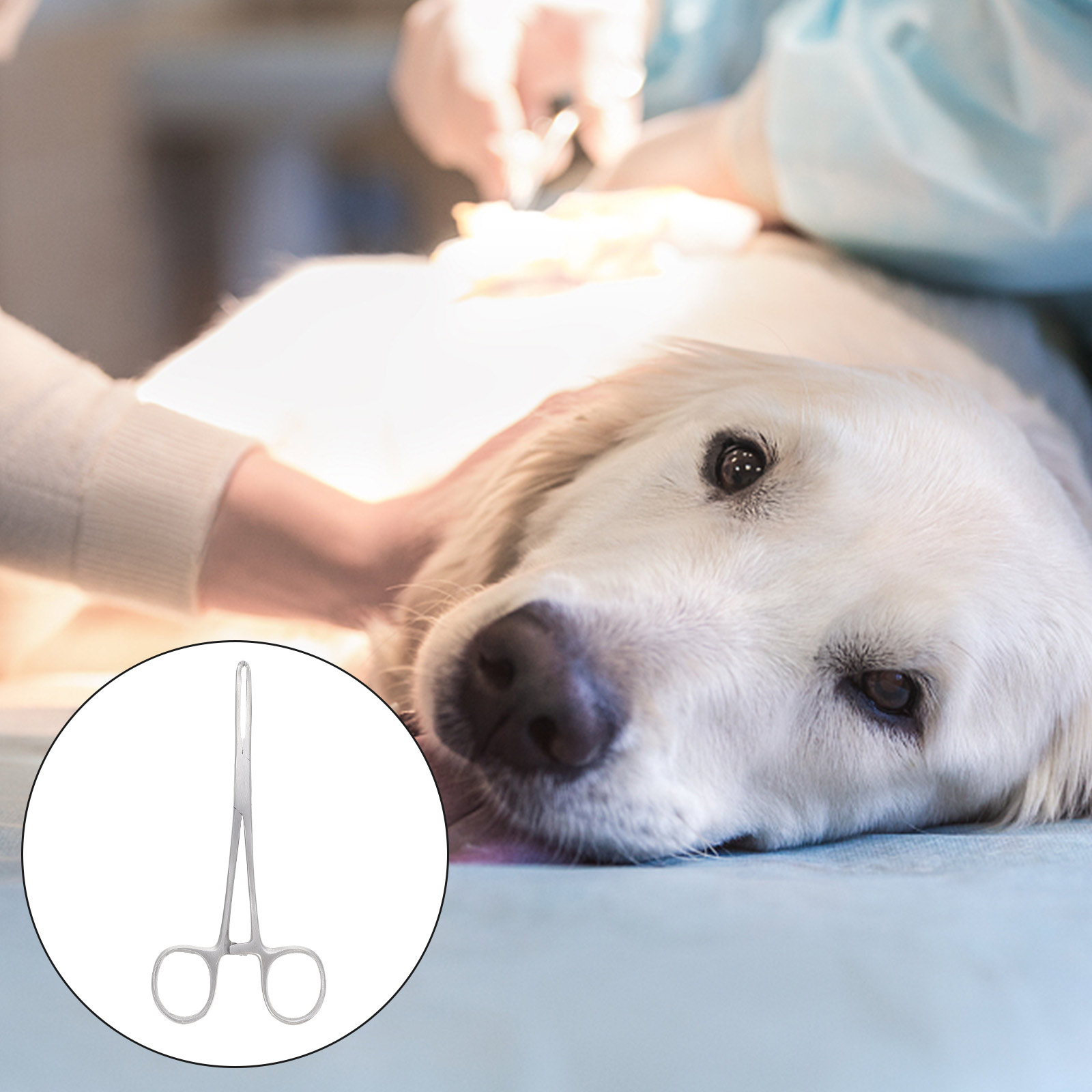 Pet Neutering Tool Dog Neutering Forcep Dog Neuter Ligation Tool