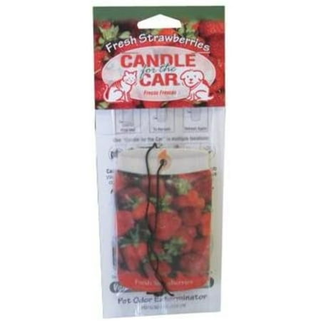 Pet Odor Exterminator CAR HANGER KIWI TWISTED STRAWBERRY
