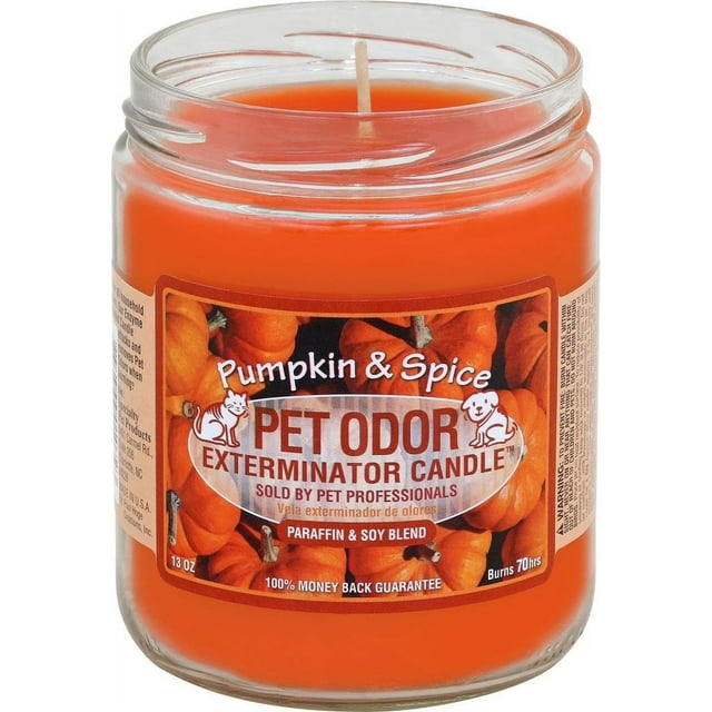 Pet Odor Exterminator Candle 13oz jar, Pumpkin Spice