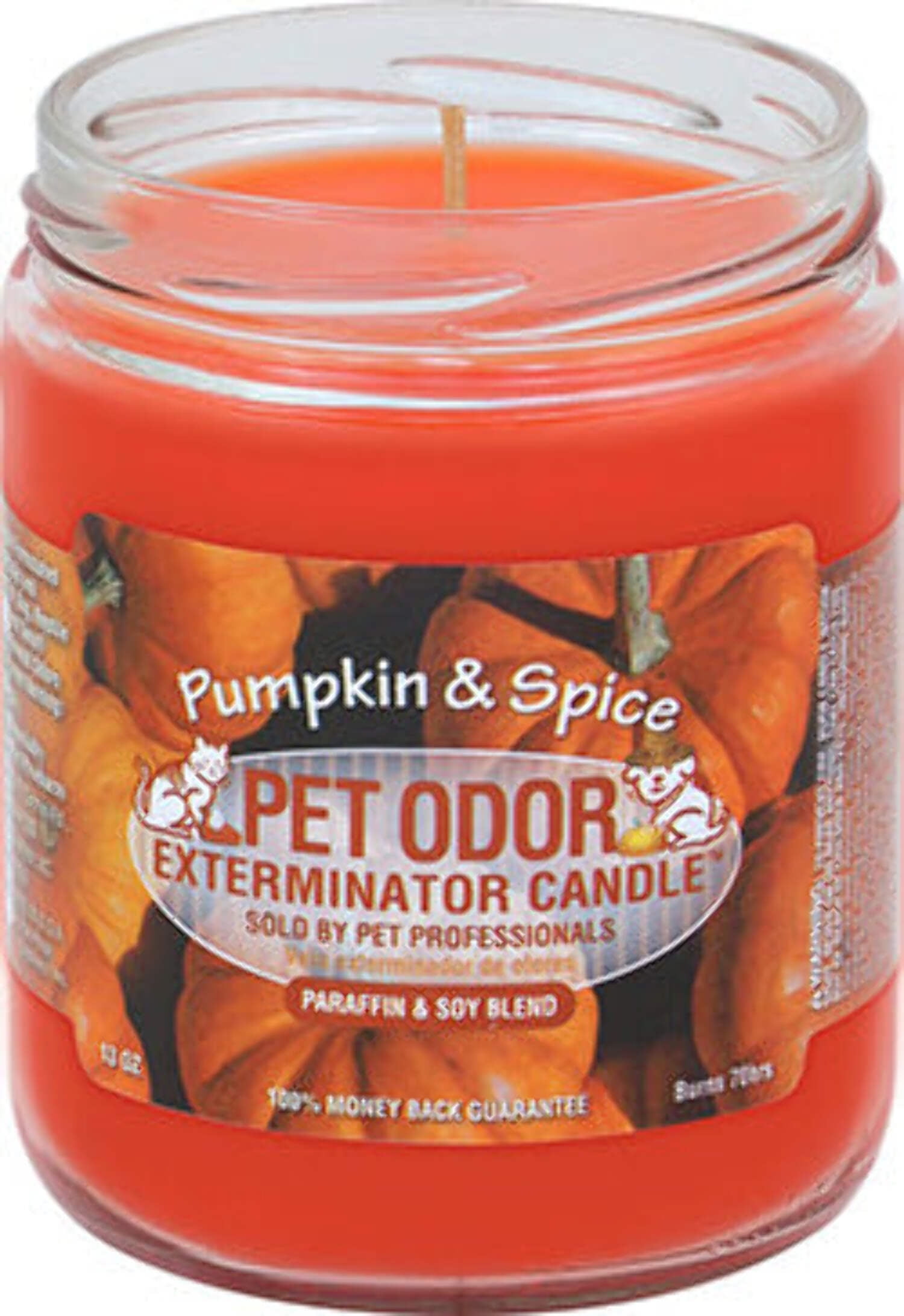 Pumpkin Spice Pet Odor Exterminator Candle 13oz