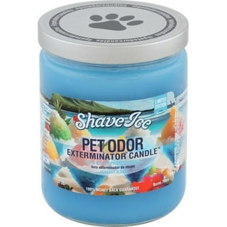Pet odor candles walmart hotsell