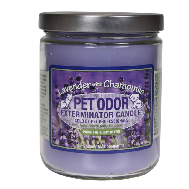 Long Lasting Pet Odor Exterminator Candle, Lavender with Chamomile, 13