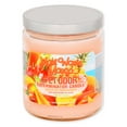 thumbnail image 1 of Pet Odor Exterminator Candle, Maui Wowie Mango,13 oz, 1 of 3
