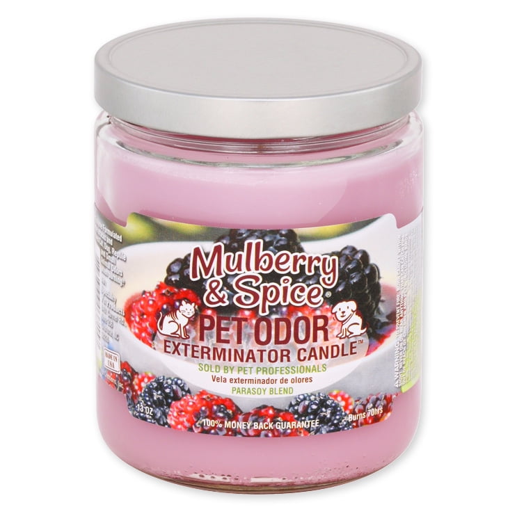 Pet Odor Exterminator Candle Mulberry Spice 13 oz Walmart Business Supplies