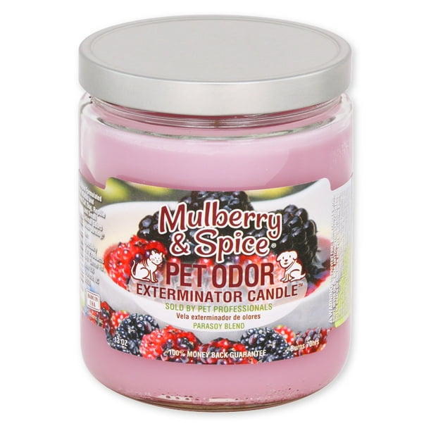 Pet Odor Exterminator Candle Mulberry Spice 13 oz