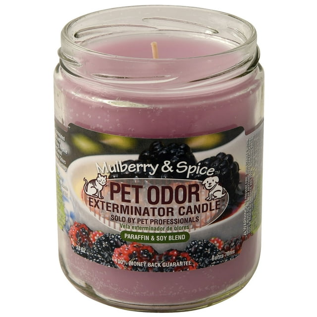 Pet Odor Exterminator Candle, Mulberry & Spice, 13 oz