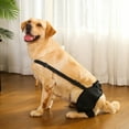 thumbnail image 1 of Pet Others Dog Leg Brace for Injury and Sprain Compression Wrap Protector for Rear Hock Joint Extra Support for Back Leg, 1 of 3