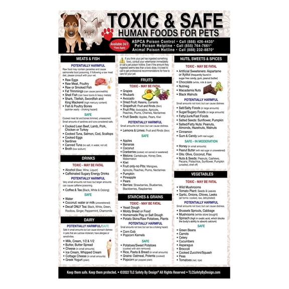 Pet Owner Emergency Guide Ultimate Pet Food Safety Chart Toxic and Safe Foods List for Dogs Cats Laminated Quick Reference Home Vet
