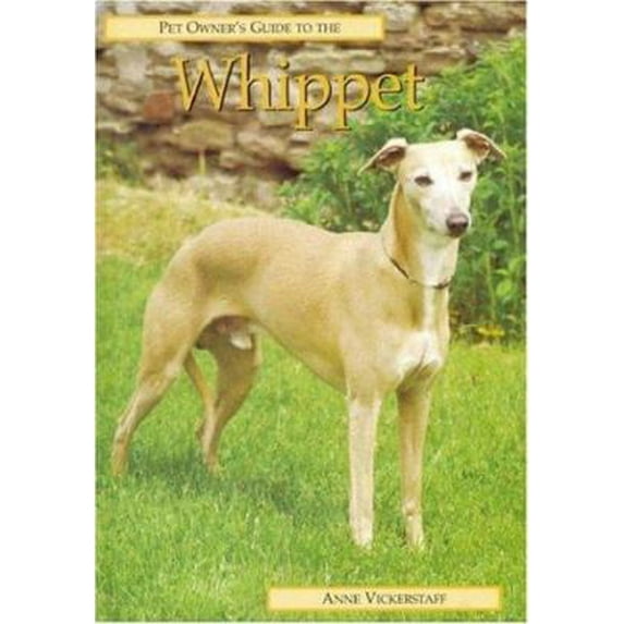 Pre-Owned Pet Owner's Guide to the Whippet (Hardcover) 1860541887 9781860541889