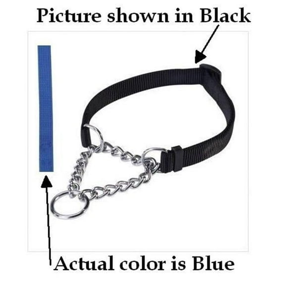 Pet Pals Guardian Martingale Collar 22-34 In Blue