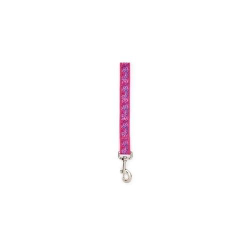 Pet Pals ZA3334 66 81 ESC Carolina Lead 6 Ft x 1 In Raspberry P
