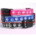 thumbnail image 1 of Pet Pals ZA887 14 19 Two-Tone Pawprint Collar 14-20 x .62 In Blue, 1 of 1