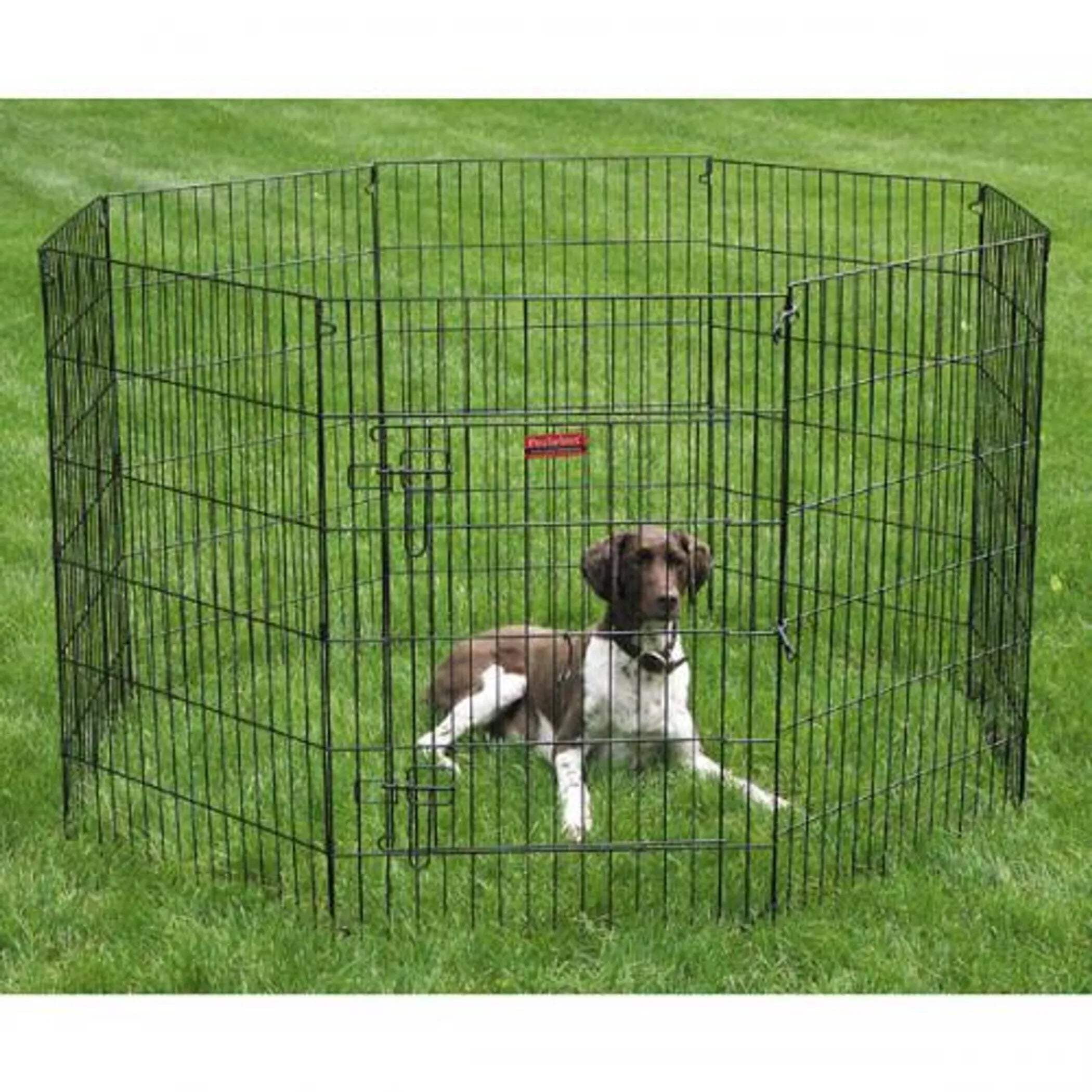 ProSelect Black Metal Exercise Pen with Door, 36 Inch