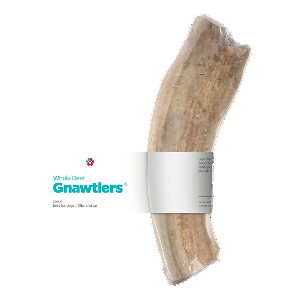 Gnawtlers antlers discount