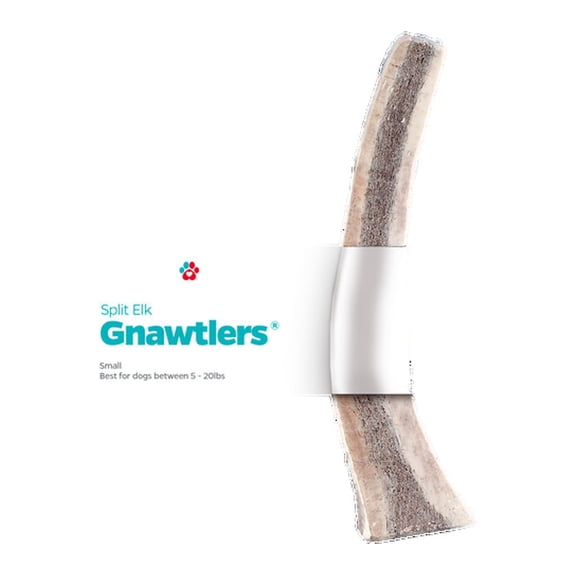 Pet Parents® Gnawtlers® Naturally Shed Split Elk Antlers for Dogs, Small