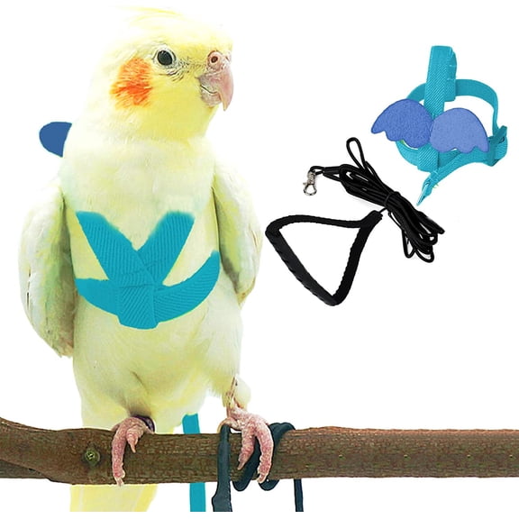 Pet Parrot Bird Harness and Leash, Adjustable Training Design Anti-Bite, Bird Nylon Rope with Cute Wing for Parrots, Suitable for Scarlet, Keck, Mini Macaw and Same Size Birds (Light Blue)