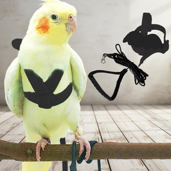Pet Parrot Harness and Leash, Adjustable Training Design Anti-Bite, Nylon Rope with Wing for Parrots, Suitable for Scarlet, Keck, Mini Macaw and Same Size Birds (Black)