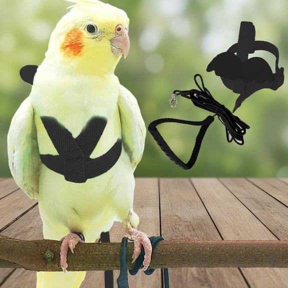 Pet Parrot Harness and Leash, Adjustable Training Design Anti-Bite, Nylon Rope with Wing for Parrots, Suitable for Scarlet, Keck, Mini Macaw and Same Size Birds (Black)