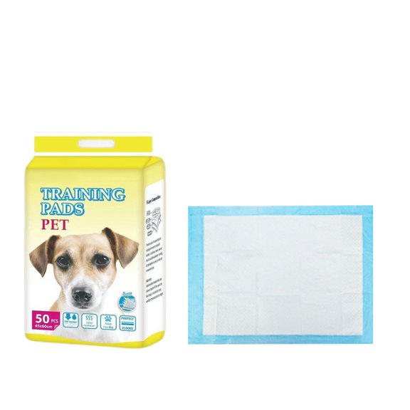 Pet Pee Pad, Disposable Super Absorbent Leak-Proof Training Mat, Quick-Dry Housebreaking Underpad for Dog Cat Puppy Indoor Floor Protection