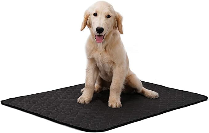 Pet Pee Pad, Dog Washable Training Blanket Absorbent Mat for Puppy Small Medium Large Dog (L, Black)