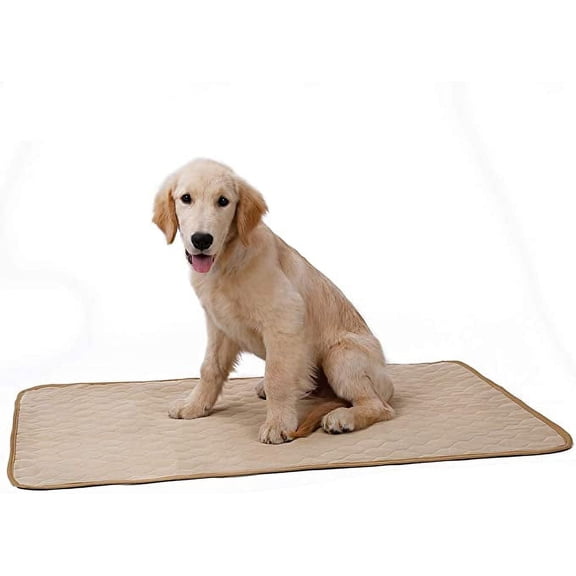 Pet Pee Pad, Dog Washable Training Blanket Absorbent Mat for Puppy Small Medium Large Dog (S, Beige)