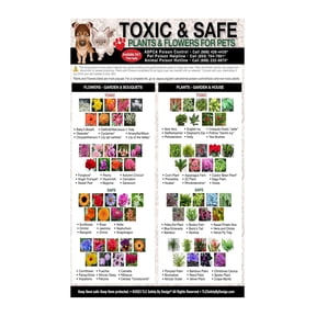 Pet Poison Prevention Poster Toxic Plants for Dogs Cats Chart Safe Houseplants Guide Emergency Reference for Home Shelter Wall Art