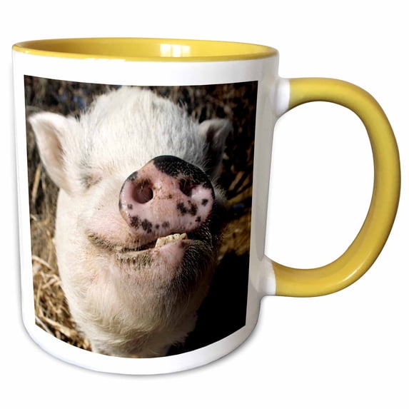 3drose, Pet Pot Bellied Pig, Farm Animal, New Mexico - Us32 Jmr0497 - Julien Mcroberts, 11oz Two-tone Yellow Mug