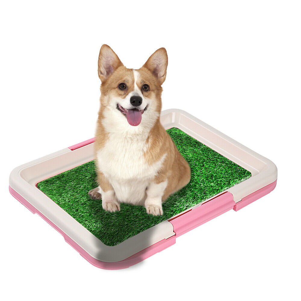 Pet Potty Trainer Grass Mat Dog Puppy Training Pee Poop Pad for Indoor