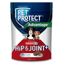Pet Protect from the Makers of Advantage Vet-Formulated Hip & Joint  Supplement for Dogs | 60 Chews