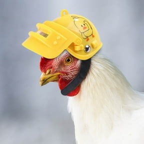Hens Helmet Chicken Pet Safety Helmet Funny Bird Hens Hat Headwear ...