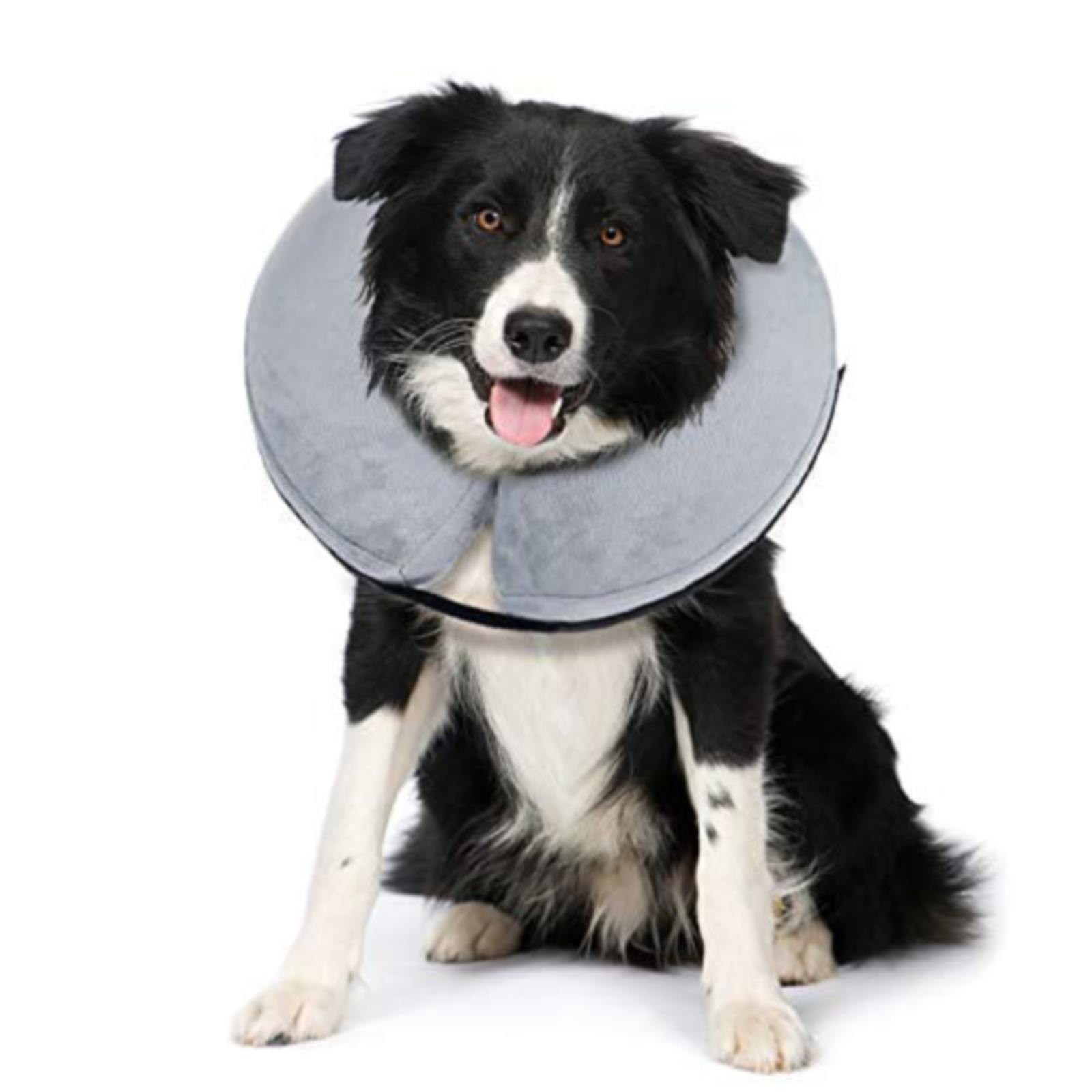 Pet Protective Cover Cat And Dog Beauty Cover Ring Pet Collar Cat And Dog Collar Dog Recovery