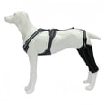thumbnail image 1 of Dog Leg Support Sleeve Adjustable Metal Brace Protective Gear for Post Recovery and Injury Rehabilitation, 1 of 6
