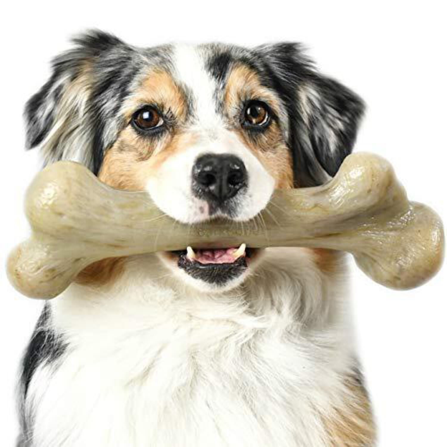 Extra large dog bones 2025