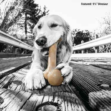 Pet Qwerks BarkBone Natural Instincts Bacon Infused Dinosaur Nylon Bone Dog Chew Toys for Aggressive Chewers - Real Bacon, Medium