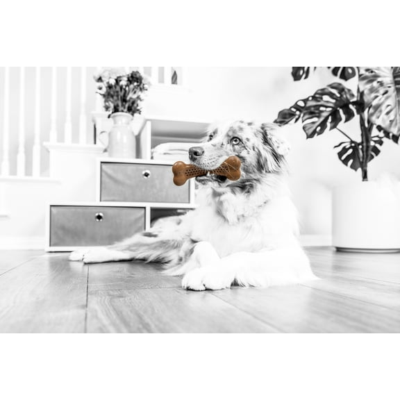 Pet Qwerks BarkBone Natural Instincts Flavorit Nylon Dog Chew Toy, Mesquite Chicken Infused, Large 6.75", For Aggressive Tough Chewers