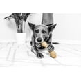 thumbnail image 1 of Pet Qwerks BarkBone Natural Instincts Rawhide Style Nylon Bone Dog Chew Toy, Bacon Flavor, Extra Large XL 9.8", Aggressive Tough Chewers, 1 of 12