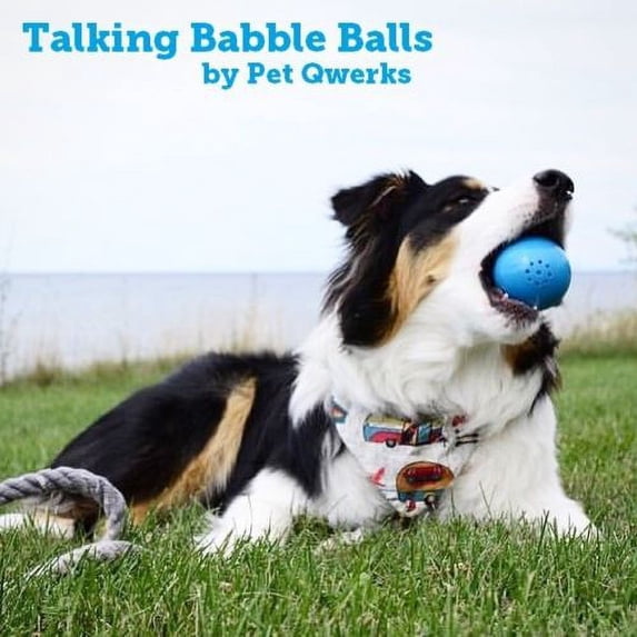 Talking Babble Ball Dog Toy, Small, Blue - Pet Qwerks