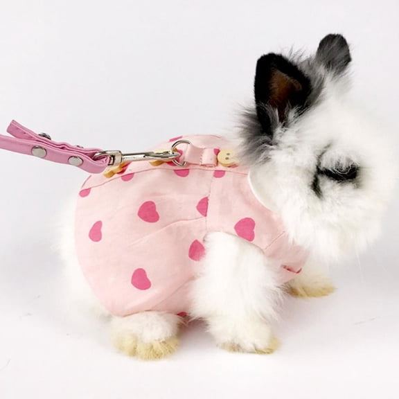 Pet Rabbit Dress, Cute Small Animals Bunny Easter Costume with Sunhat Mini Bag Harness Accessory Set for Rabbit Hedgehog Ferret Guinea Pigs Piggies Squirrel Clothes