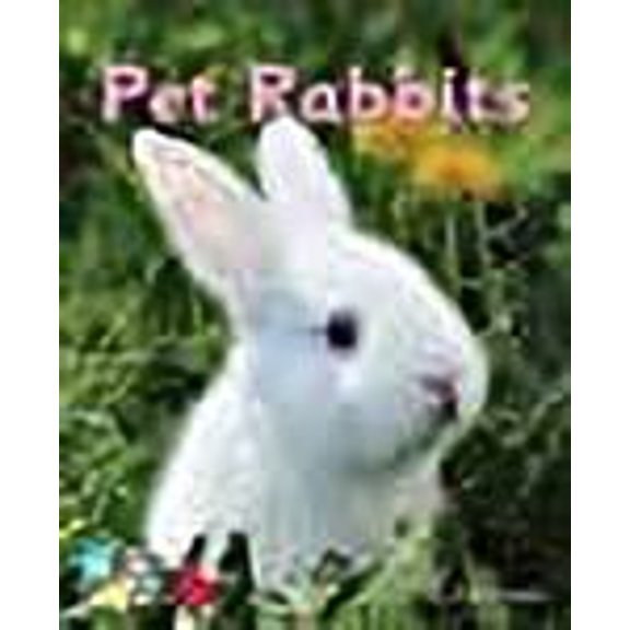 Pet Rabbits